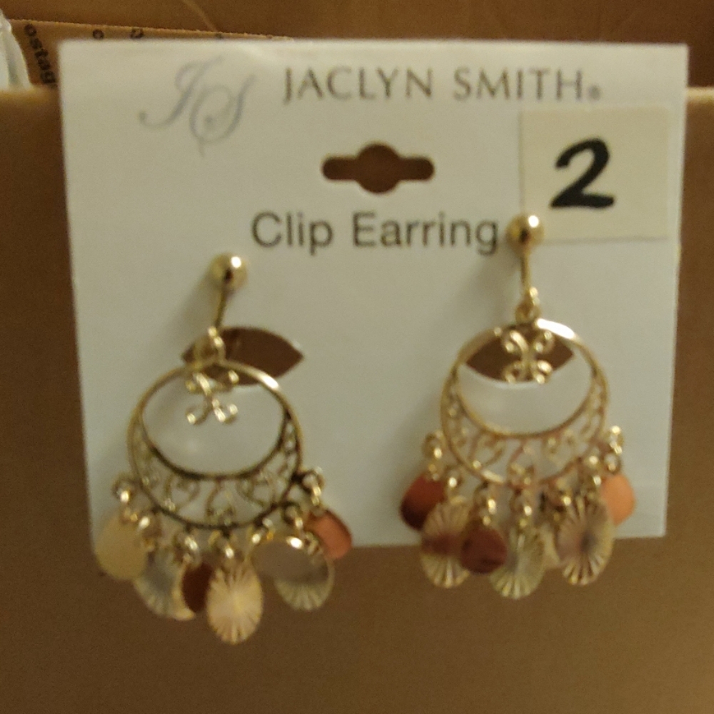Earrings